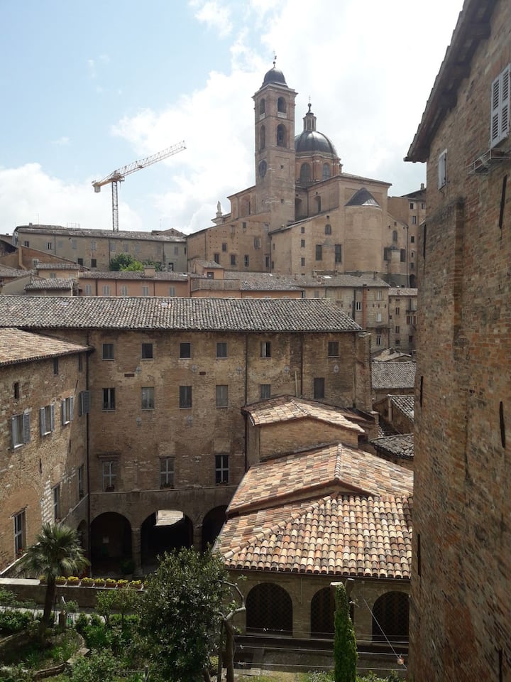 Via Barocci 34 - Urbino