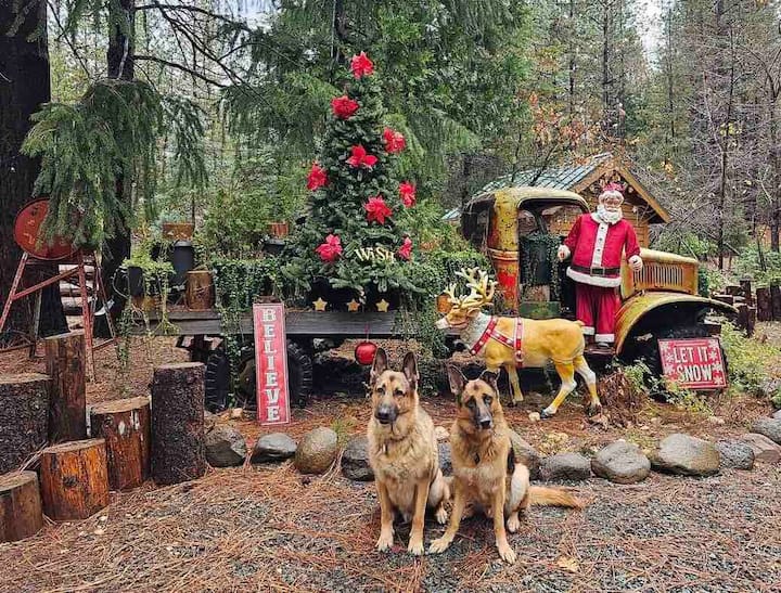 Fairy Tale Cottage - Forest Retreat, Love Dogs - Californië