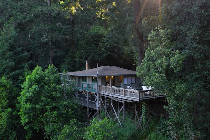 The Tree House (A River Classic) - Cazadero, CA