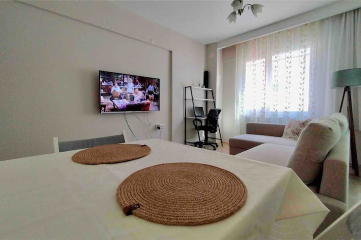 Comfortable And Central Apartment - Aydın