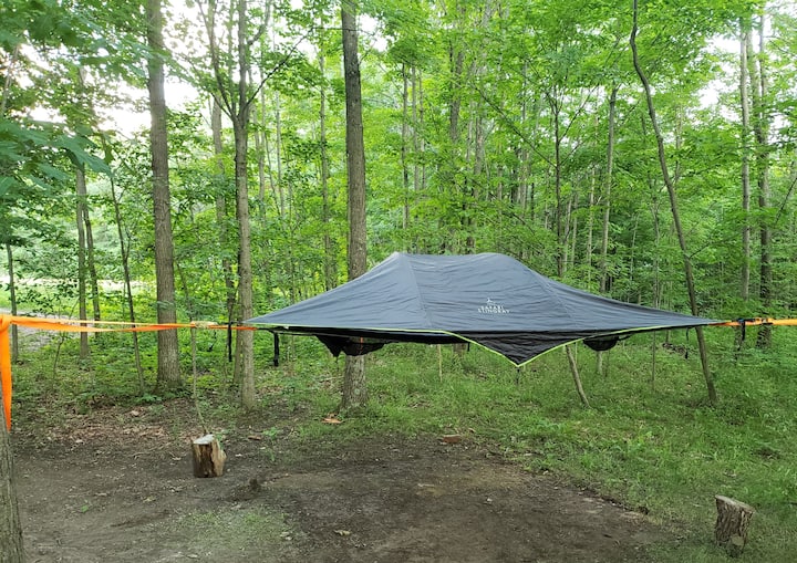 Tree Camping - Seneca Lake, NY