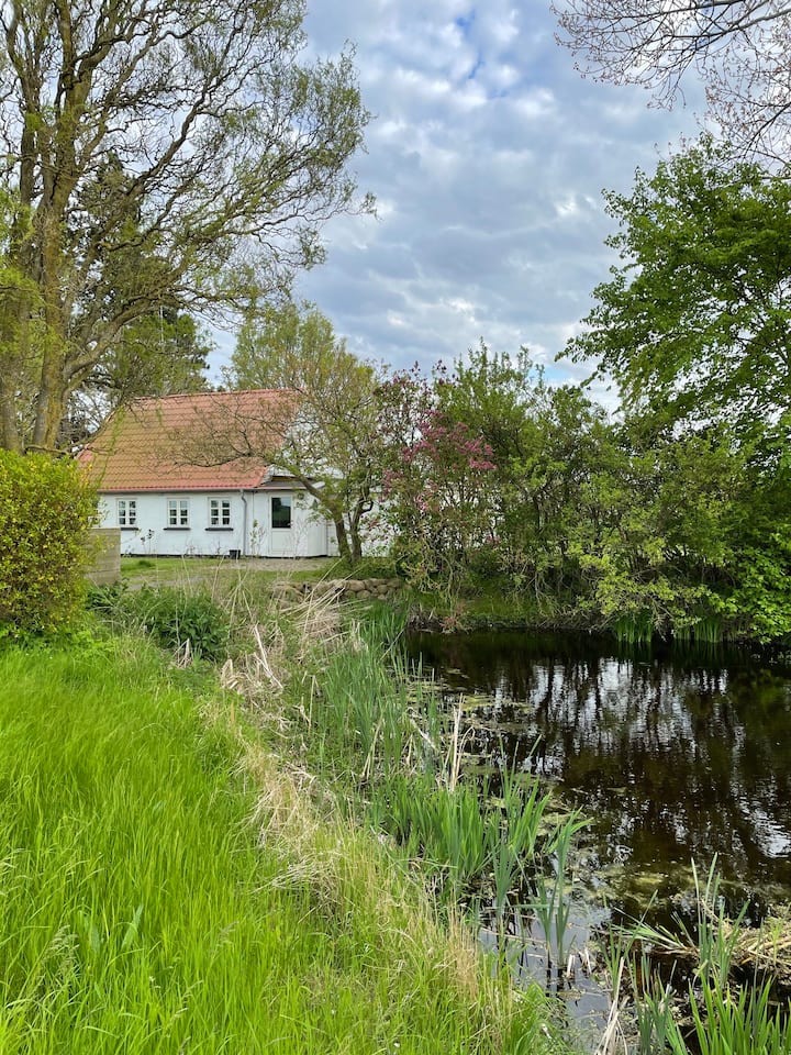 ÆBlehuset; Landhus Med Fred&ro Lige Ved Gadekæret - Rødby Sogn