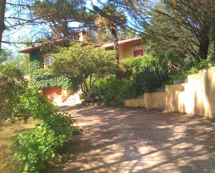 Villa Année 30, Piscine, 5min à Pieds Plages &Golf - Tarnos