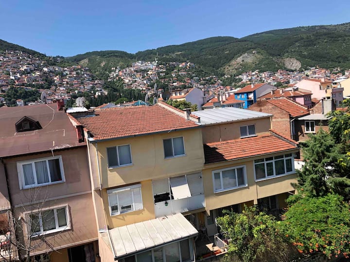 Tophane Apartment 6 Rooms And 1 Living Room - Bursa