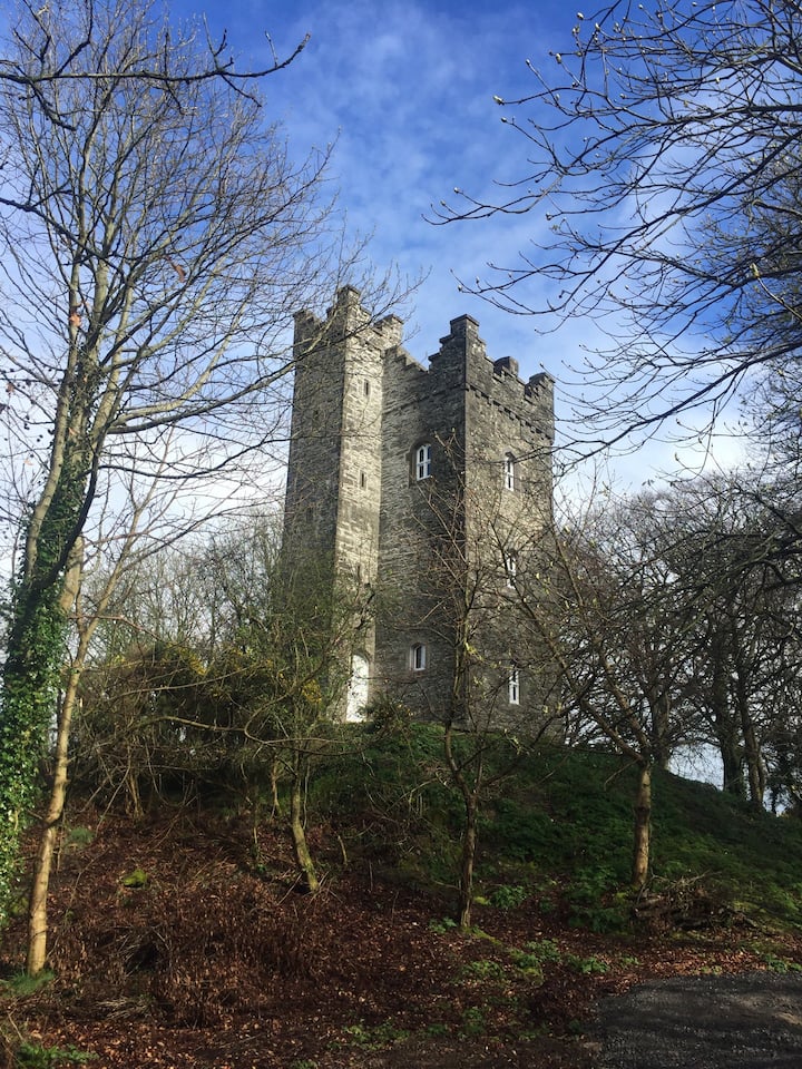 Drummond Tower / Castle - County Louth