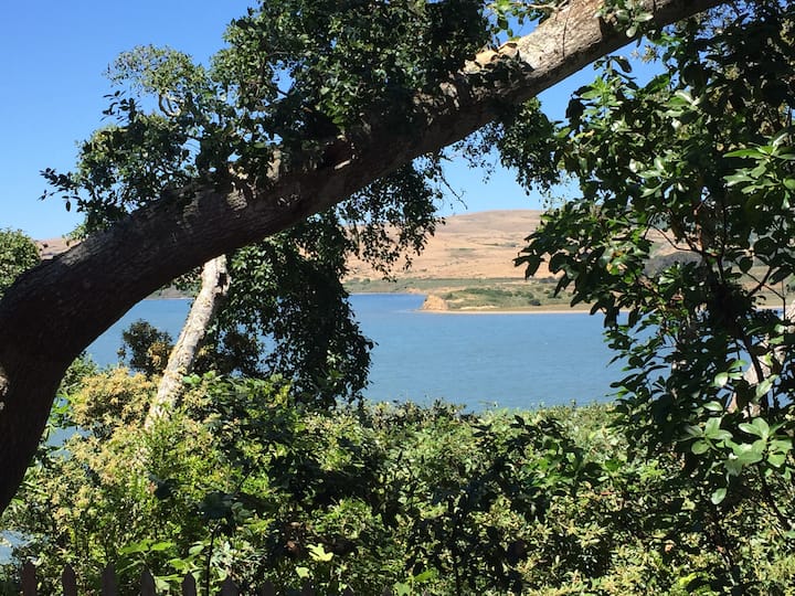 Peaceful, Sunny, Contemporary Retreat On The Bluff - Tomales Bay State Park, Inverness
