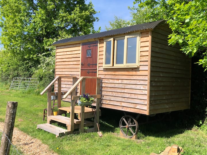 New Forest Shepherds Hut, Travelers Rest - イギリス リンドハースト