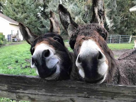 Find cheap vacation rentals in Humboldt County, CA cozycozy