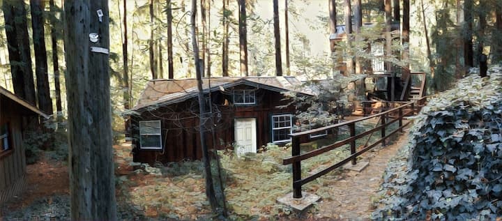 Gorgeous Cabin In Mount Hermon - Felton, CA