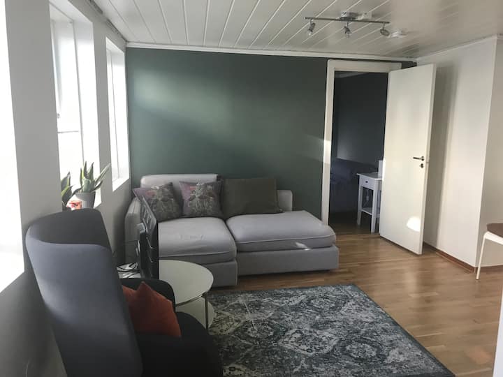 Lovely 1 Bedroom Flat For Rent In Stavanger Centre - Stavanger