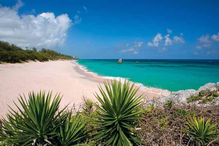 Newly Renovated Apt Walk To Bermuda's Best Beaches - Bermuda