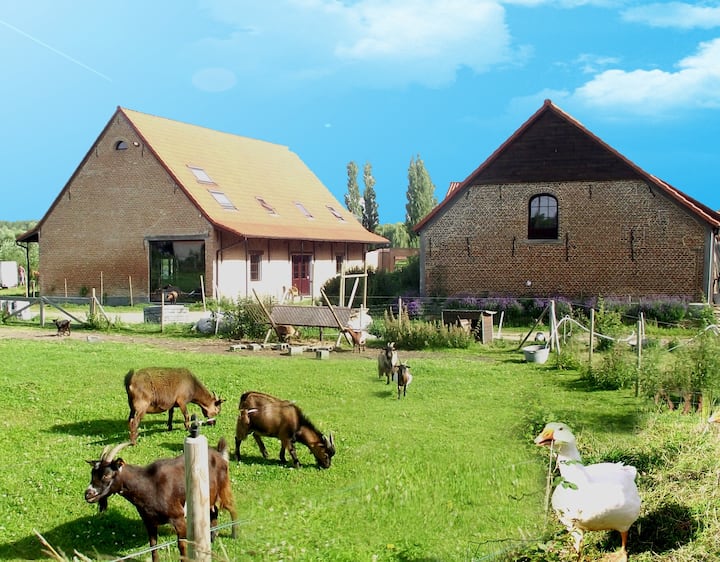 Complete Farmhouse Up To 20 Guests - Rumst