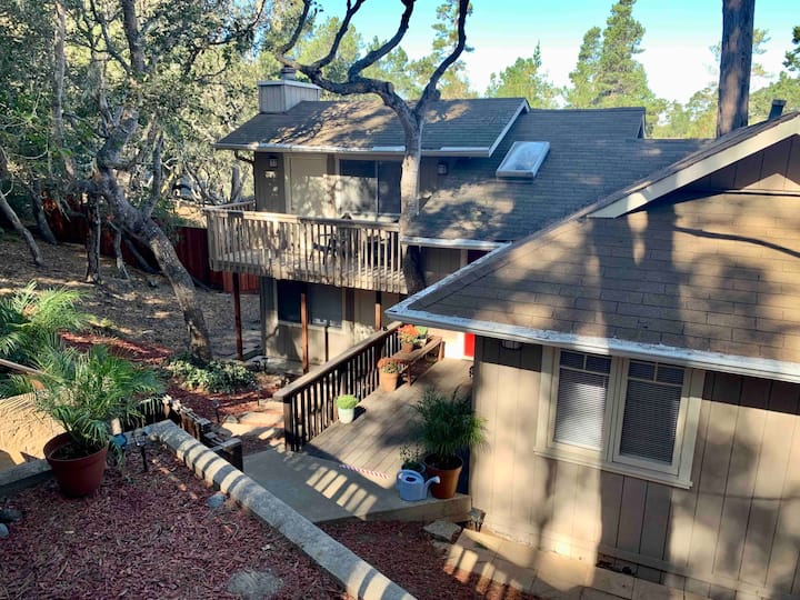 Gaîa Tree House | Fully Renovated | Spacious Rooms - Cambria, CA