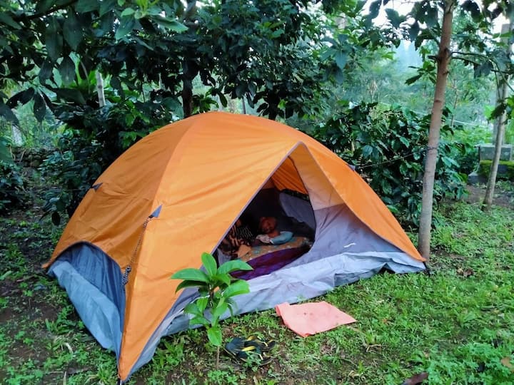 Jungle Survival By Madhuvan  Trekking & Camping - Salerne