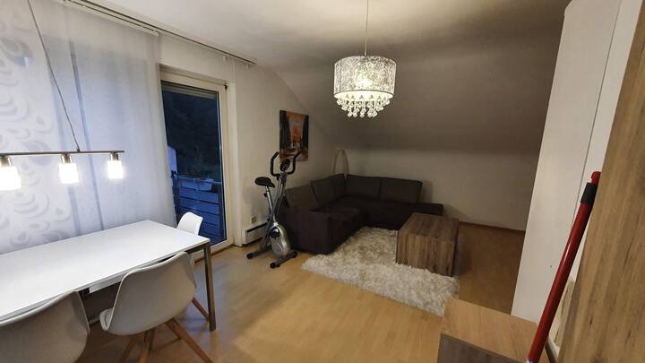 Bright , Cozy 2 Room Apartment Near The Forest. - Holzgerlingen