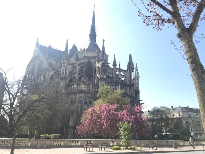 Au Pied De La Cathédrale De Reims - Centre Ville - Reims