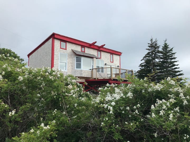 Rose Cabin At Maregold Centre - Sunsets And Nature - Digby