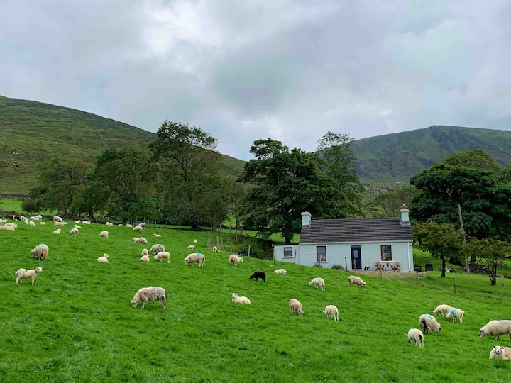 The Cottage @ Acumeen Farm On The Dingle Peninsula - County Kerry