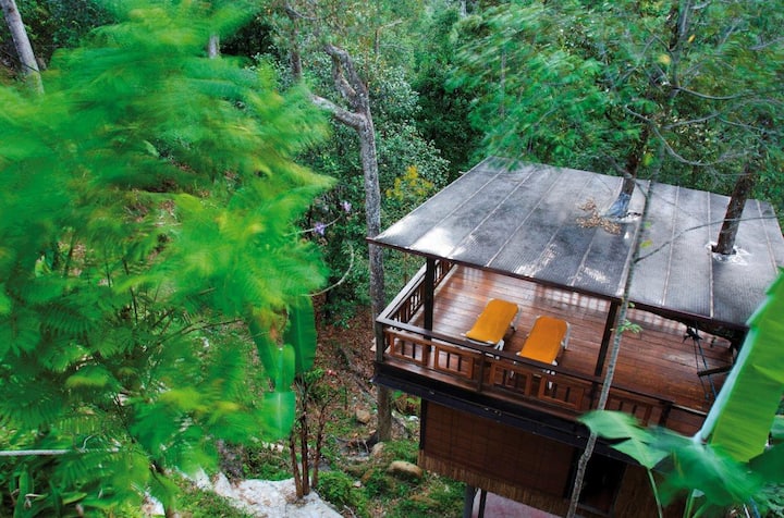 Treehouse - Sleeping On A Durian Tree - Balik Pulau