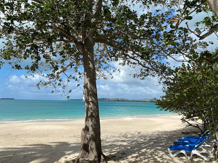 Beach Villa - Antigua and Barbuda