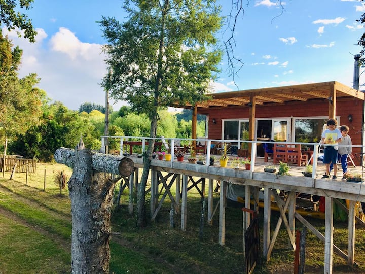 Wenuleufu Lodge: Verano, Vacaciones  Y Naturaleza - Los Ríos