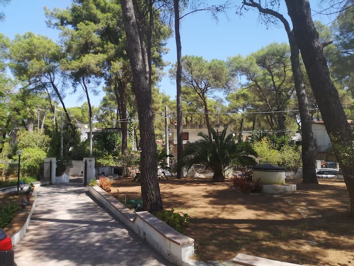 Villa Dei Pini. - Castellaneta Marina