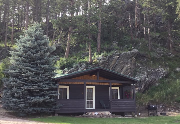 #8 Cabin Near Mt. Rushmore At Pine Rest Cabins - Hill City, SD