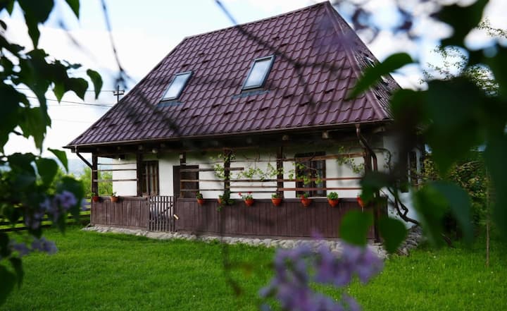 Traditional House In Maramures, Transylvania - Maramureș