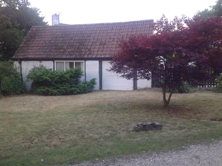 Cosy New Forest Cottage With Charm And Tranquility - Burley - Leeds