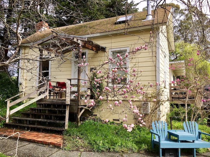 Pt. Reyes, Robins Retreat, Cal King Bed, Jacuzzi! - Point Reyes Station, CA