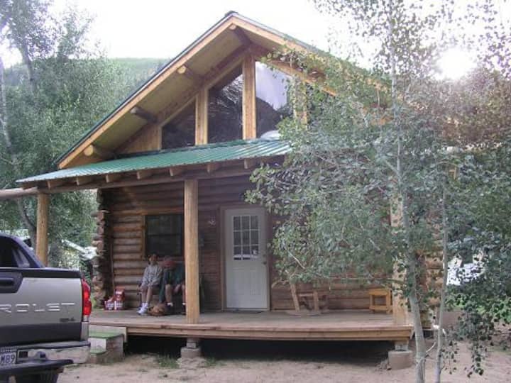 Ute Bear Log Cabin-4 Beds 1 Bath-river & Mountains - Lake City, CO
