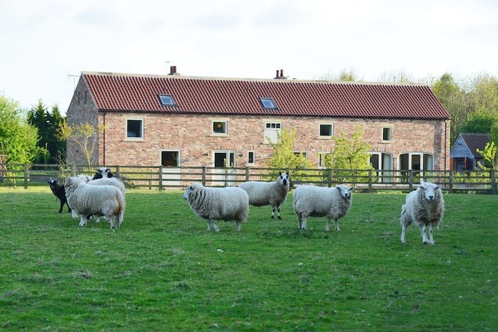 Fantastic  Barn Conversion  Nr York Family, Groups, Couples & Friends 2-8 Guests - Yorkshire