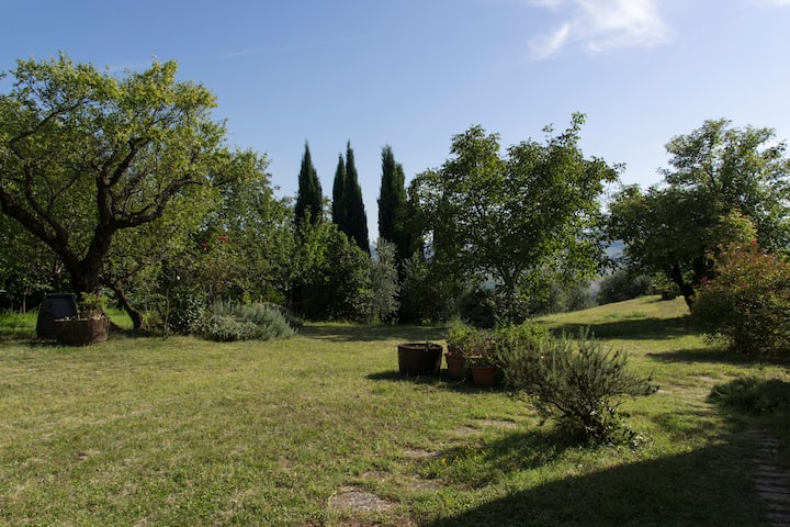 Villa Immersa Nelle Colline Marchigiane - Provincia di Ancona