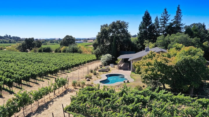 Live In A Painting-  Napa Estate W/ Pool & Vines - Napa Valley, CA
