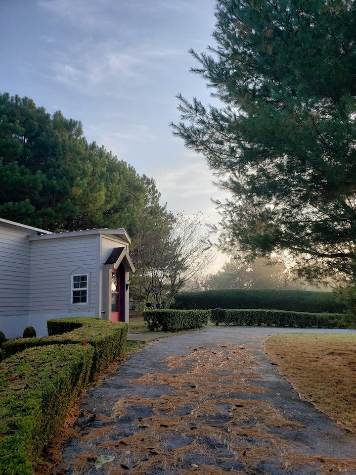 Piney Woods Cottage - Harrison, AR