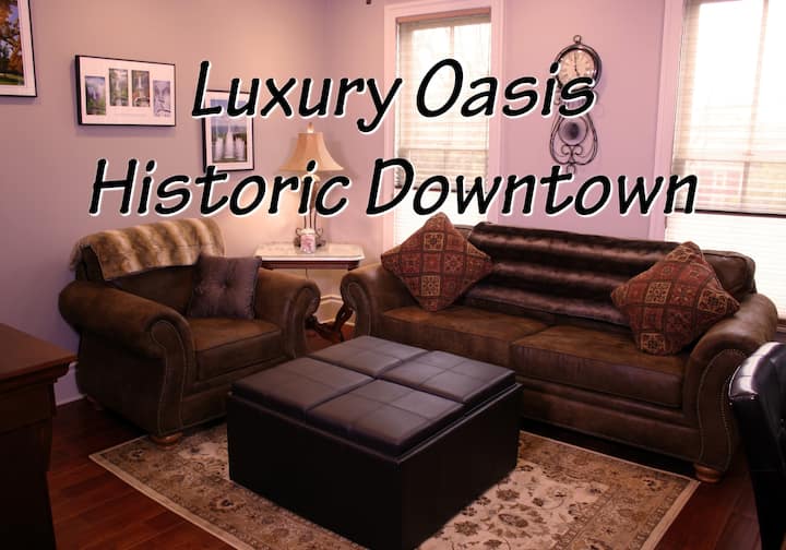 Luxury Oasis Historic Downtown 2br - Buttermilk Falls State Park, Ithaca