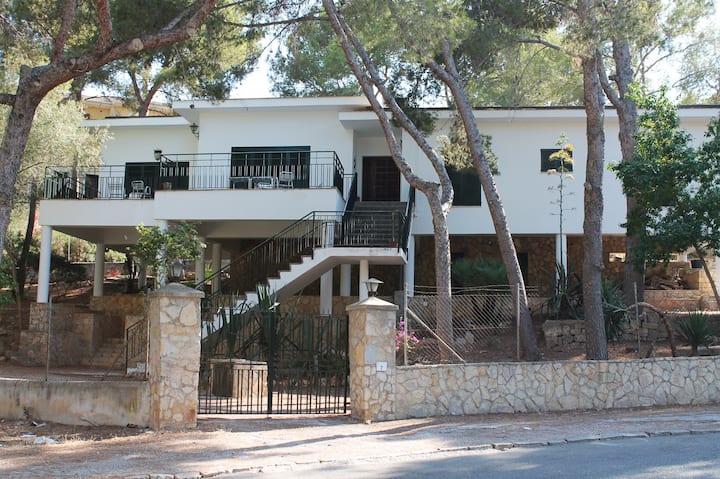 White House In Mallorca - Magaluf - Magaluf