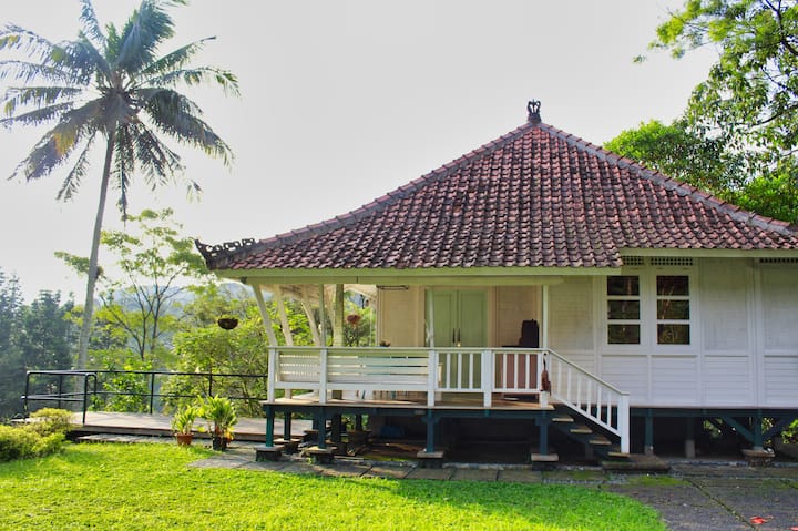 Dharma Residence Villa Collection At Gadog - Cisarua