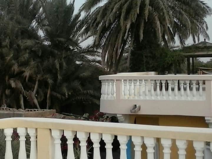 Oasis Riad In The Sahara - Nouakchott