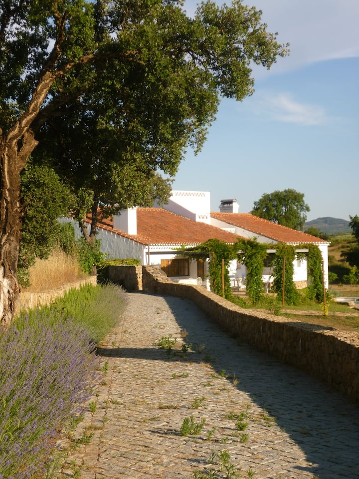 The Olive Press- Perfect For Family Holidays- Pool - Castelo de Vide