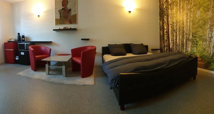 Ruhiges Zimmer In Schmitten - Fribourg, İsviçre