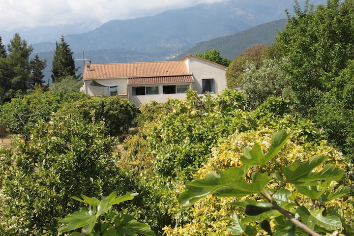 A Malba Villa T6 + Verger à 10kms De La Mer - Ghisonaccia