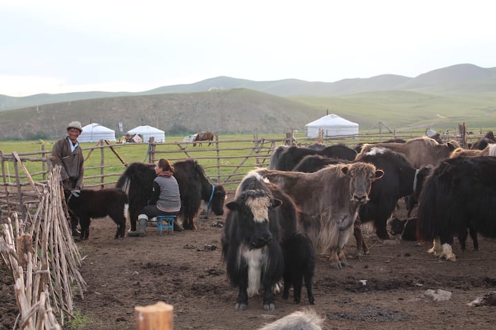 Mongolian Nomadic Family - 몽골