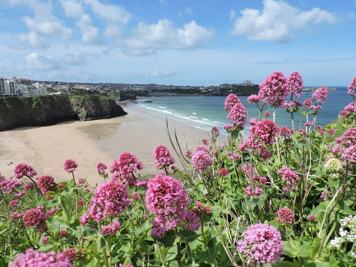Azur Ocean Heights - Wifi - Car Parking Included - Newquay