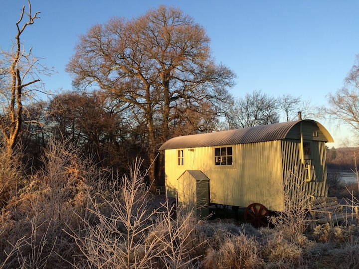 Isolated Shepherds Hut Woodlands Hide - South Downs