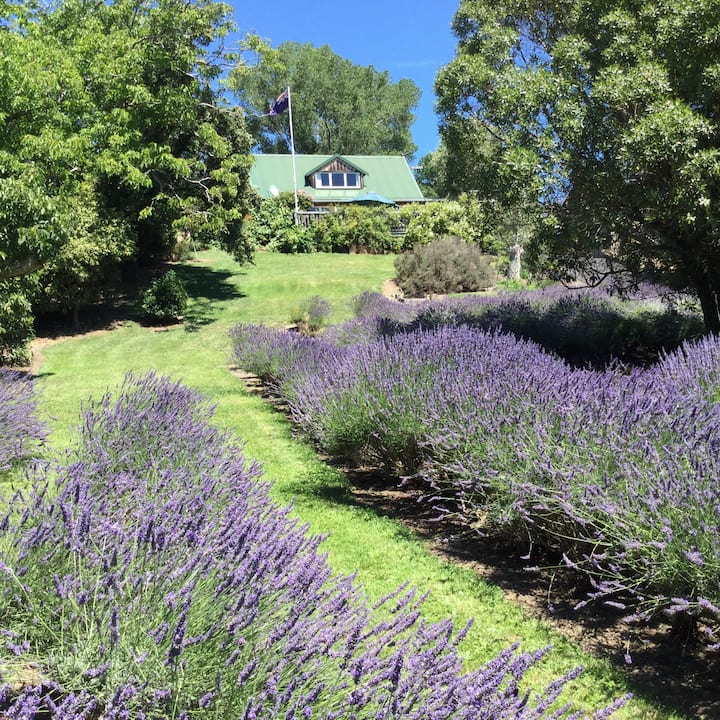 Tranquil And Relaxing Lavender Studio - Akaroa