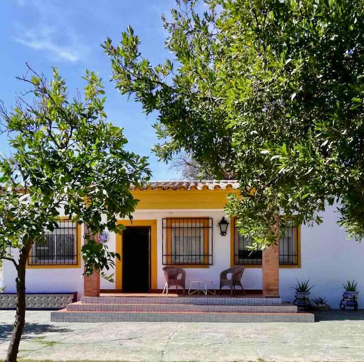 La Casa De La Palmeracasa Rural Chalet Con Encanto - La Carlota