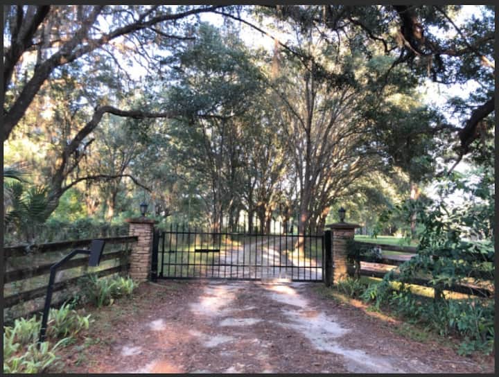 Private Country Home On Beautiful 15 Acres. - Paynes Prairie Preserve State Park, Micanopy