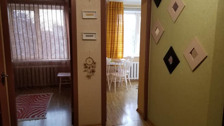 Уютная квартира целиком в самом центре Тирасполя - Tiráspol