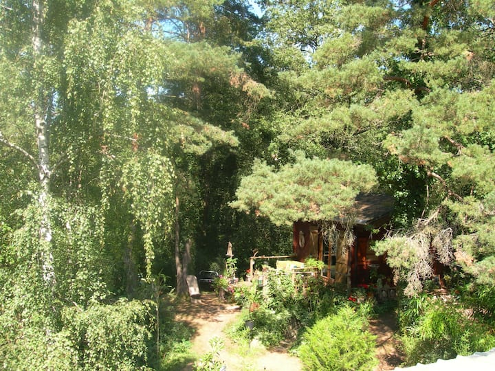 En Pleine Forêt, Site Atypique - Milly-la-Forêt